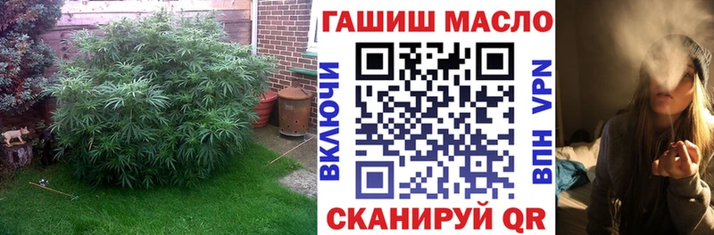 купить  цена  Дубна  Дистиллят ТГК концентрат 